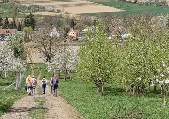 Blueschtwanderig ins Eggenertal