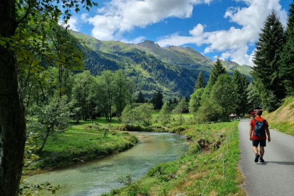 Alpeggi in fiore e torbiere alte sul Lucomagno