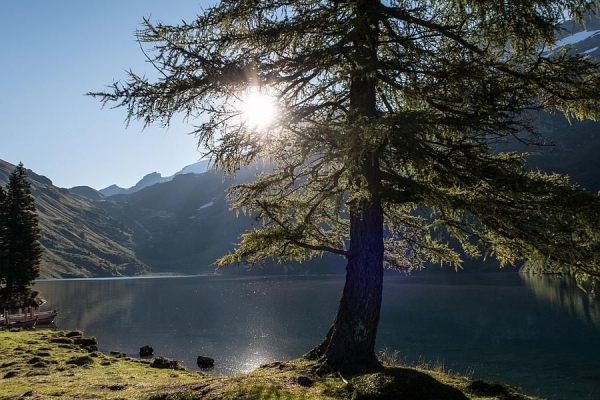 Über Stock und Stein vom BeO nach Obwalden