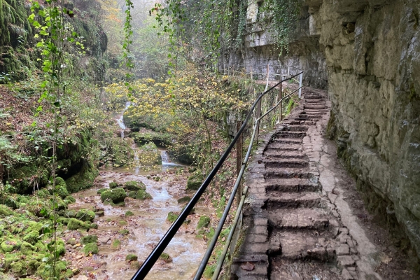 Durch die Twannbachschlucht am Bielersee