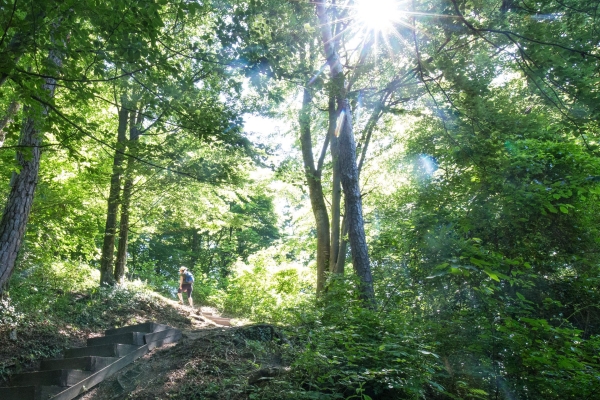 Im Thurgauer Garten von Karl dem Grossen