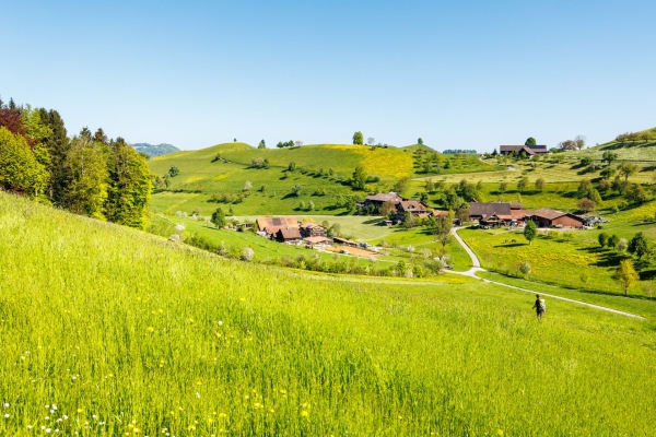 Excursion printanière dans un paysage de moraines