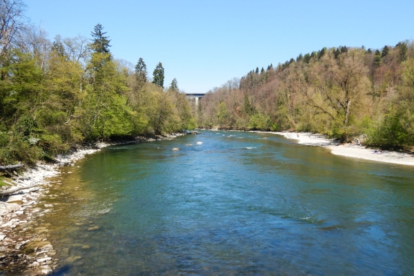Sulle rive della Reuss immersi nella natura
