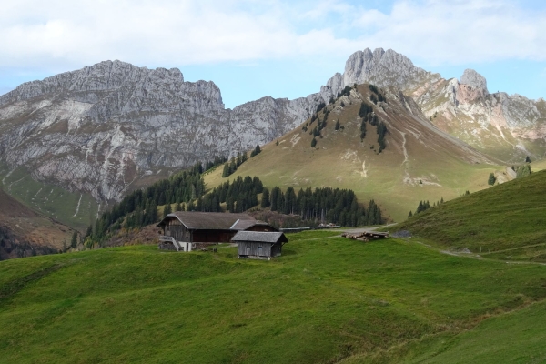Sur les hauteurs du Saanenland