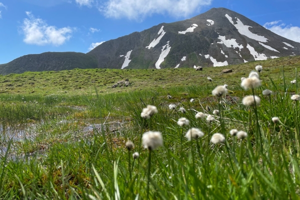 Unterwegs zum wilden Schnittlauch in Samnaun
