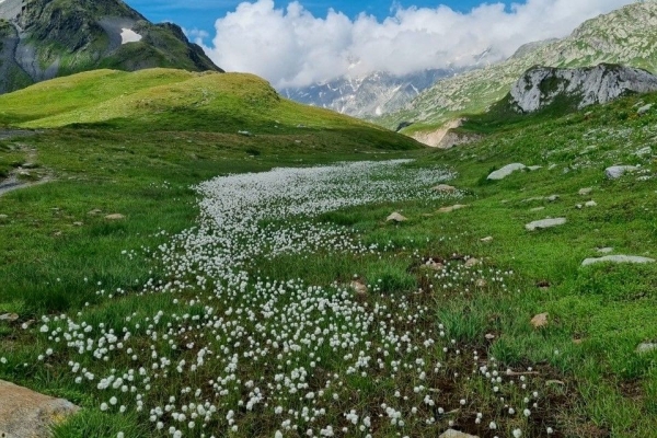 L’altopiano delle meraviglie della Greina salvato dall’arte.