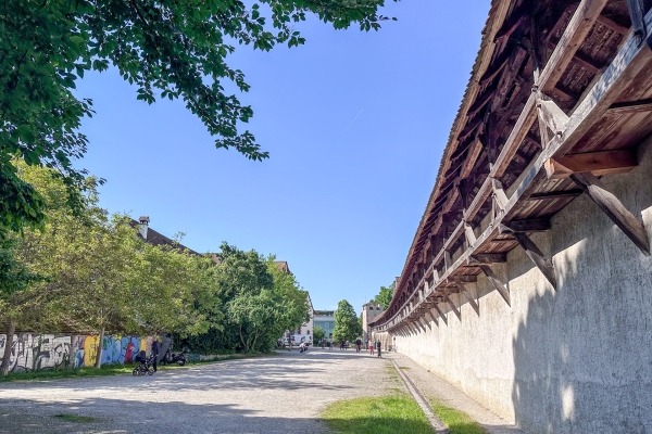 Sentiero in fiore al canale di St. Alban