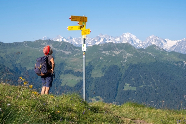 Le Grand Combin sous les yeux