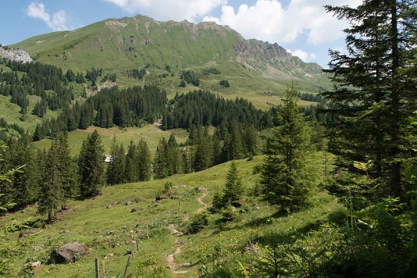 Von der Bannalp zum Haldigrat