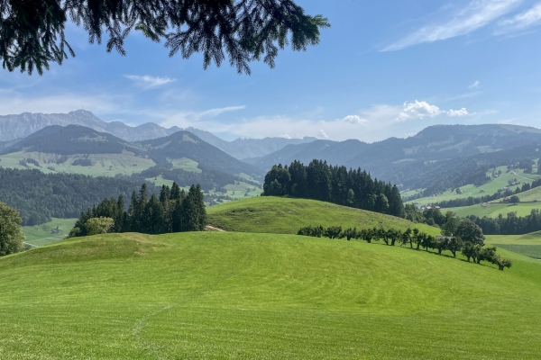 Gemütlicher Aussichtsberg im Appenzellerland