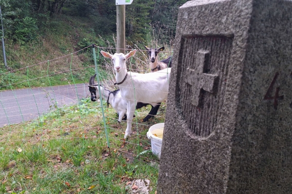Auf den Spuren der Urzeit im Jura