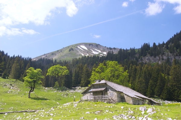 45. Wanderfest: Die Entdeckung