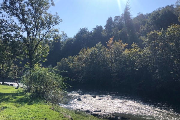 Idyllischer Sihlsprung - Achtung Terminänderung!