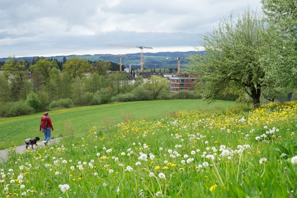 Industriegeschichte am Zugersee