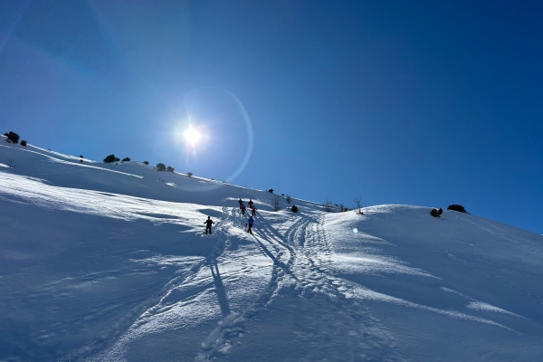 R08: Moosfluh - Aletschwald- Rieder Furka - Riederalp West