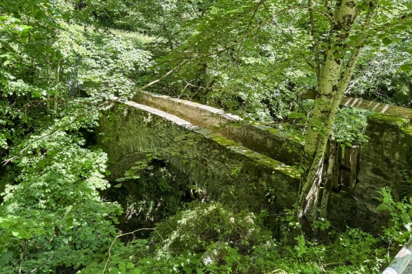 Alla scoperta della romantica valle di Campo