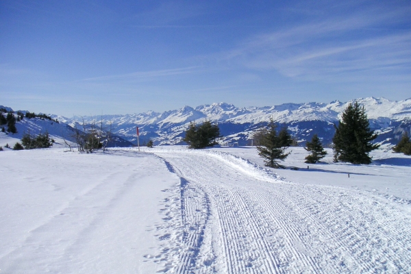 Verschneite Hochebene im Domleschg