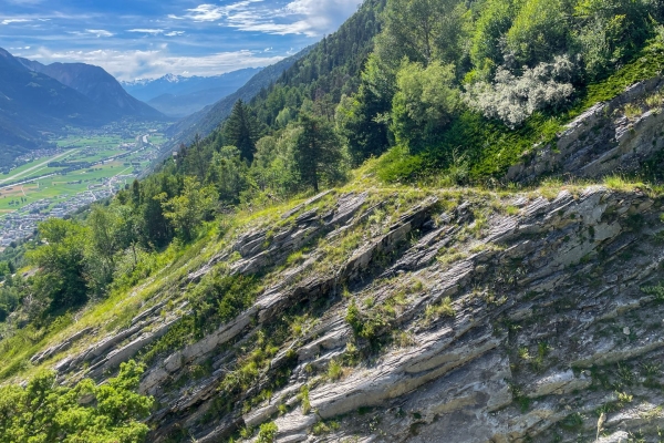 Auf Wespensuche an der Südrampe