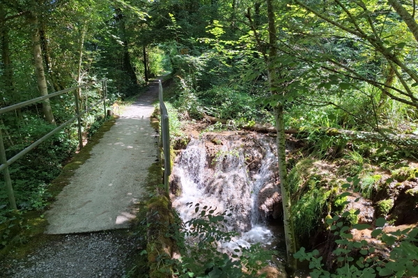 Von Andelfingen nach Thalheim an der Thur