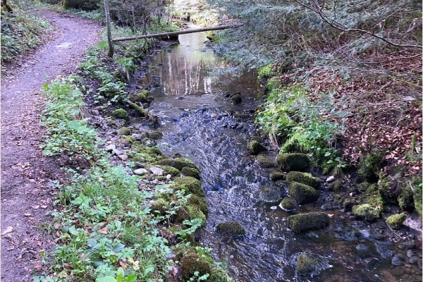 33. Dem Gérignoz entlang