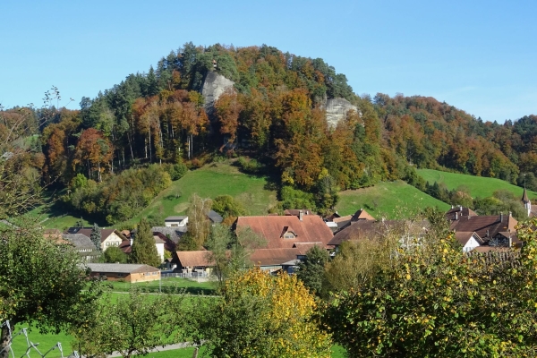 Forêts colorées et roches de molasse