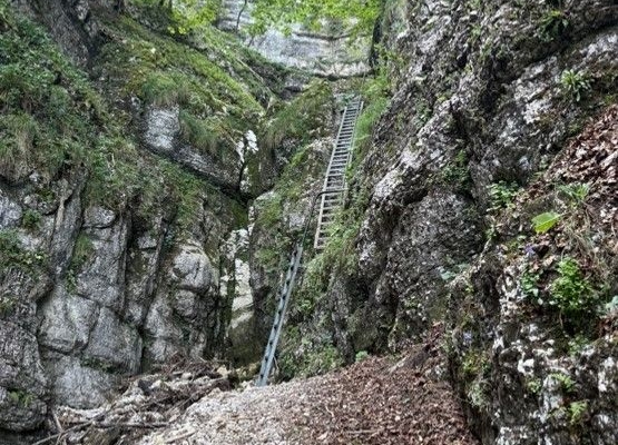 Auf der Via Berna Etappe 3