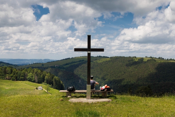Auf Käfersafari oberhalb von Welschenrohr