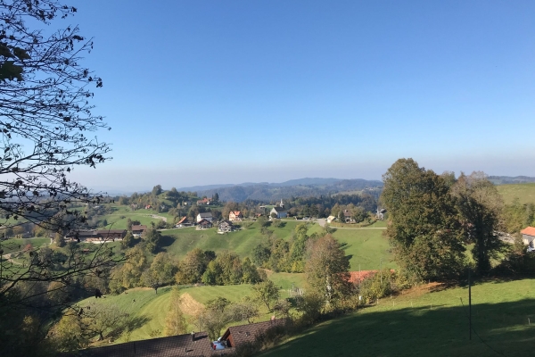 Eventwanderung Zürcher Tössbergland (**/T1)