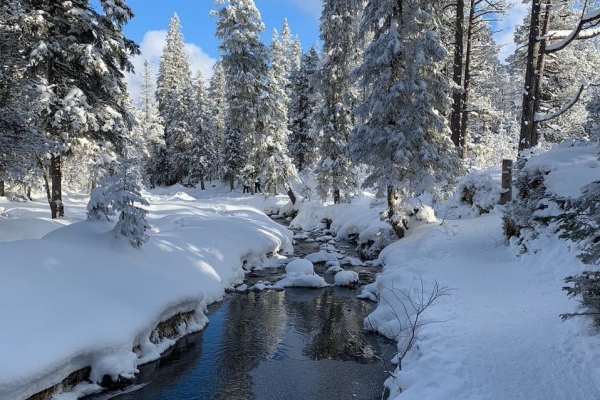 Schneeschuhtour vom Langis aufs Jänzi (OW)