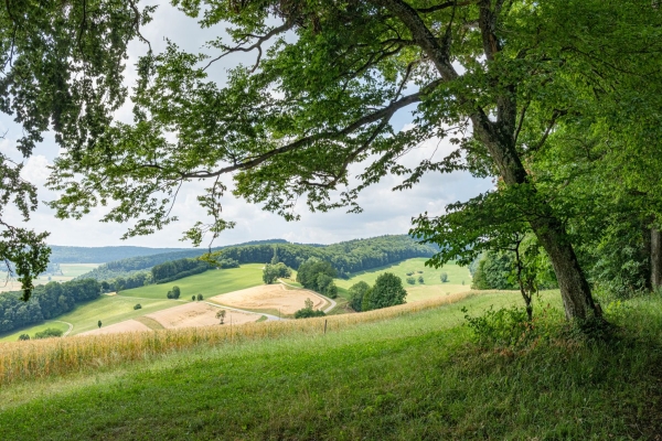 Auf Reptilien-Tour im Schenkenbergertal