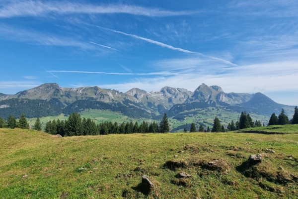 KLANGWEG TOGGENBURG – WANDERUNG FÜR AUGEN UND OHREN
