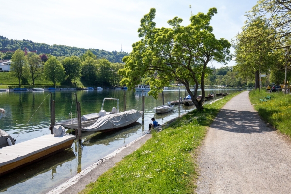 Wo einst am Rhein der Salzhandel blühte