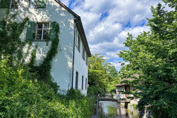 Sentiero in fiore al canale di St. Alban