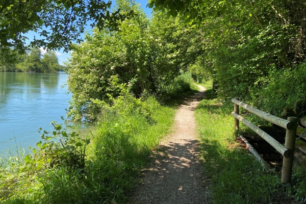 An der Aare entlang nach Solothurn