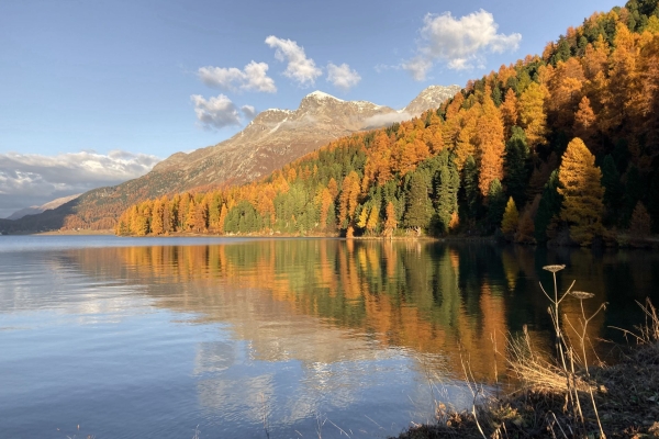 Seenwanderung mit leuchtenden Lärchen