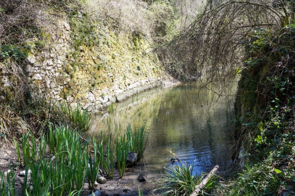 Idyllische Wildnis und Steinbruch bei La Sarraz