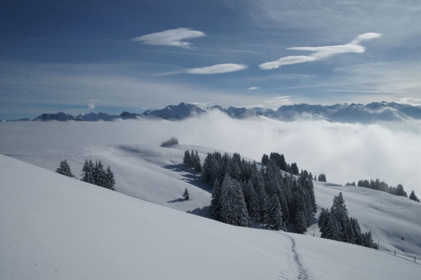 Lawinenkurs auf Turren
