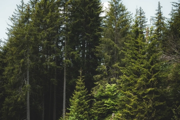 Hilferepass im Entlebuch