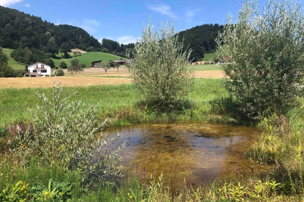 "Rund um den Kanton Luzern” Etappe 7:  Triengen - Reiden