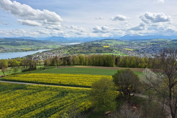 Von Hallwil zum Flug SR306 und zur Aargauer Rigi