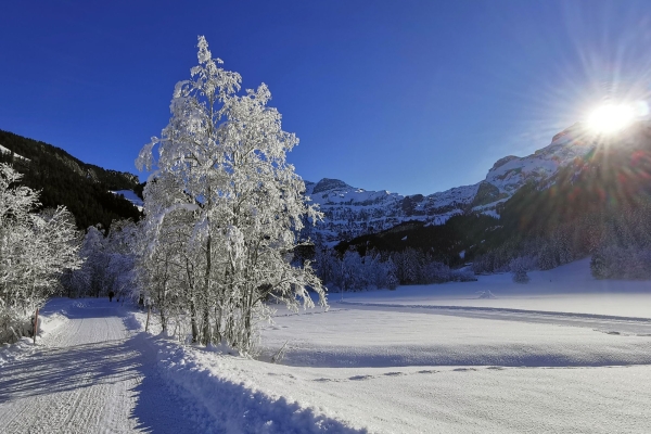 Randonnée à plat jusqu’aux chutes de la Simme