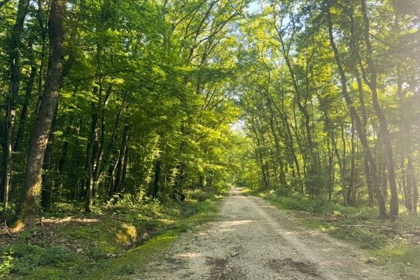 Spazierwanderung zwischen Natur und Stadt