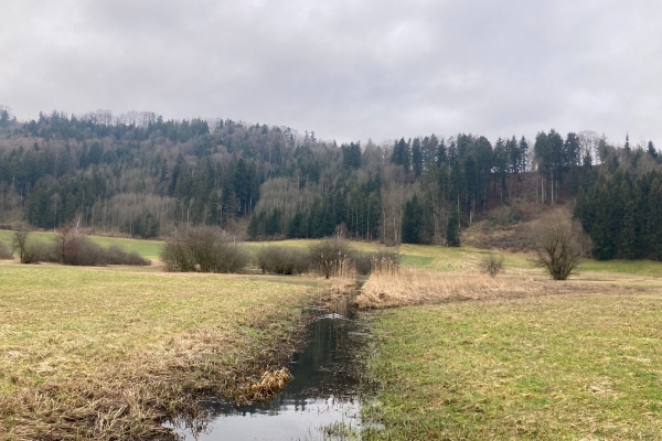 Halbtageswanderung in der Region Wil (Toggenburg-Fürstenland-Hinterthurgau)