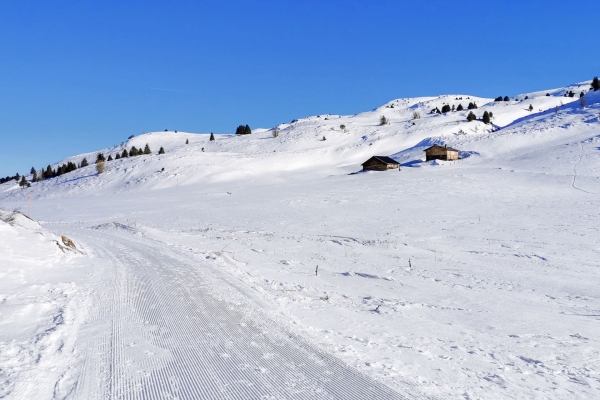Sur le Domleschg enneigé