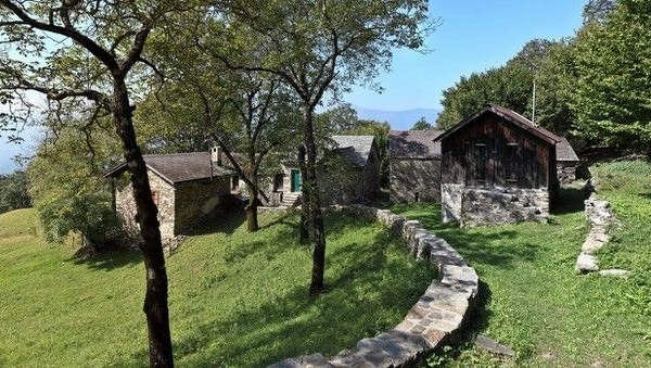 Monti di Vira Gambarogno