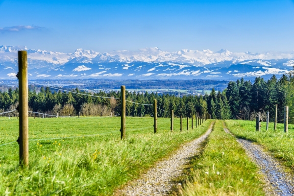 Event Wandernacht (MIT ANMELDUNG)