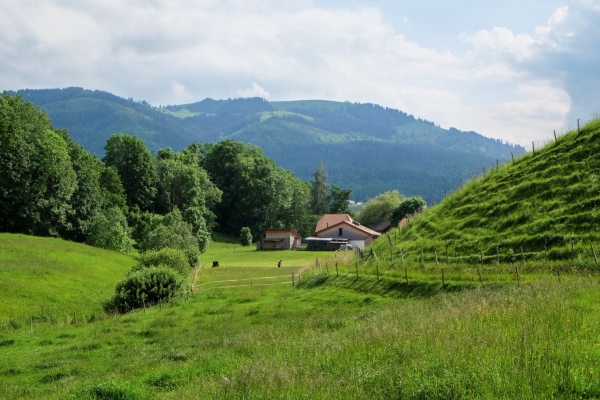 Abenteuer an der ursprünglichen Sense