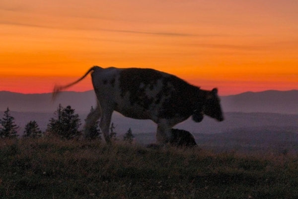 32. Les 12 heures de randonnée nocturne