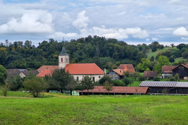 ZWISCHEN WIESEN, WALD UND URZEIT DURCH DIE AJOIE