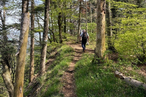Fiktive Wanderung zum Testanmelden
